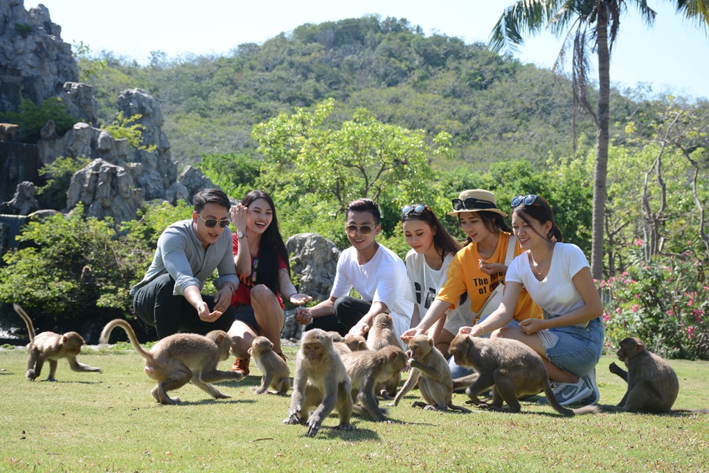 Kinh nghiệm tổ chức Team building Nha Trang trên Đảo Khỉ - Ayago Việt Nam